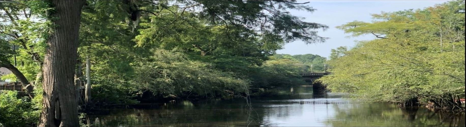 Lumber River in Lumberton, NC